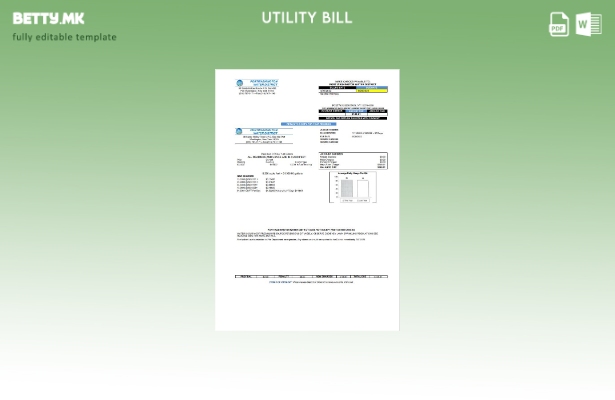 Модерен стил на САД шаблон за комунални сметки за воден округ во пристаништето В